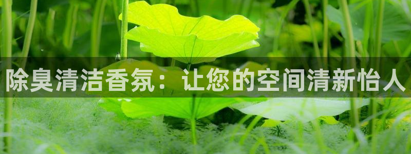 尊龙ag旗舰厅官网官方入口：除臭清洁香氛：让您的空间清新