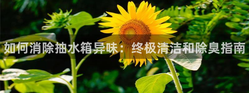 尊龙贴吧