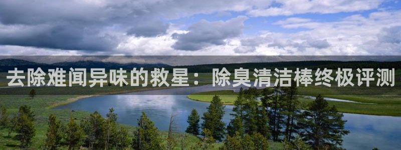 尊龙官网手：去除难闻异味的救星：除臭清洁棒终极评测