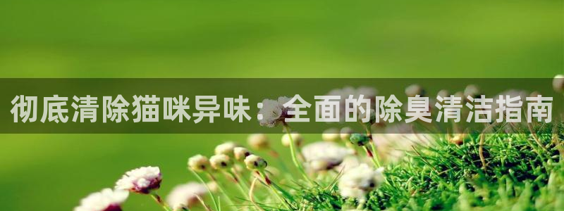 尊龙人生就是博网站：彻底清除猫咪异味：全面的除臭清洁指南
