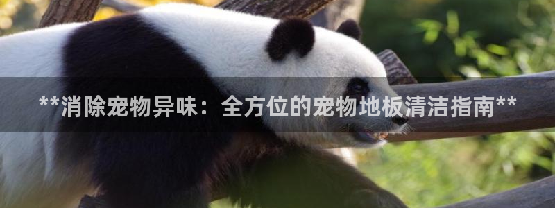 尊龙凯时有限公司