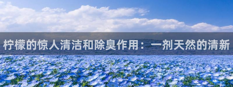 Ag尊龙平台
