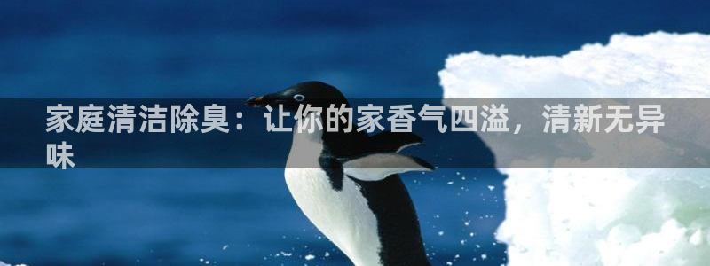 尊龙凯时福米推荐人：家庭清洁除臭：让你的家香气四溢，清新