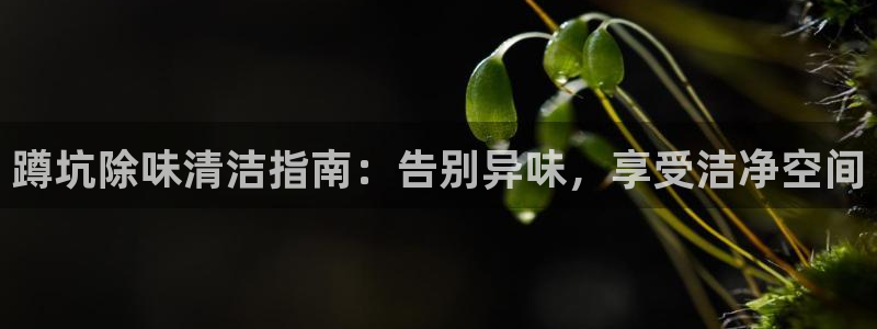 尊龙服饰有限公司地址