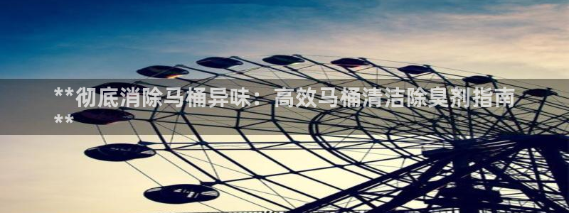 尊龙集团官网：**彻底消除马桶异味：高效马桶清洁除臭剂指