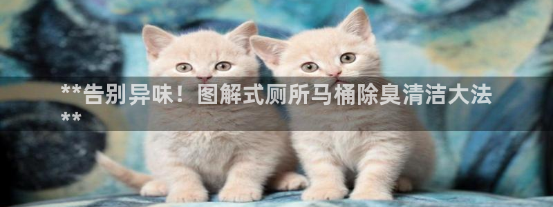 AG尊龙凯时注册：**告别异味！图解式厕所马桶除臭清洁大