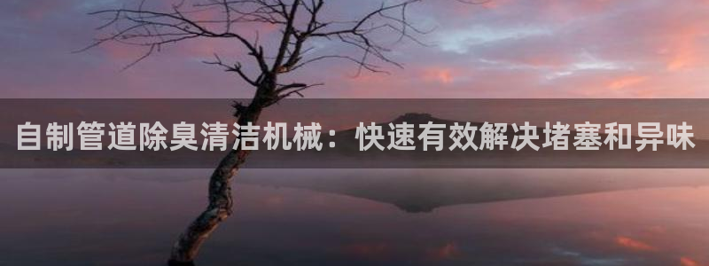 尊龙凯时和九游会哪个平台好一点