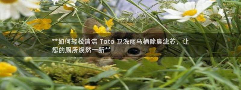 尊龙人生就是博一下下