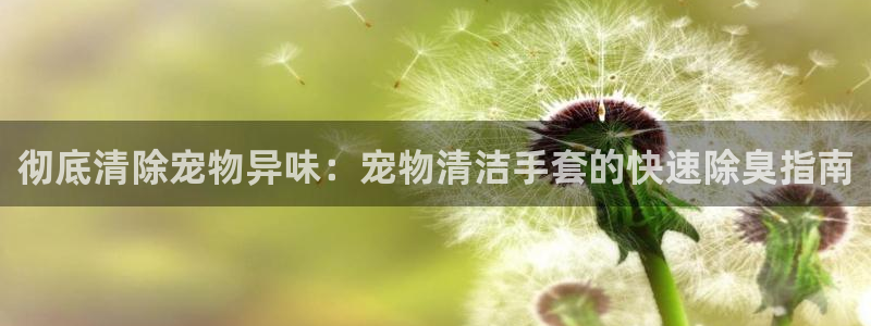 尊龙王t400