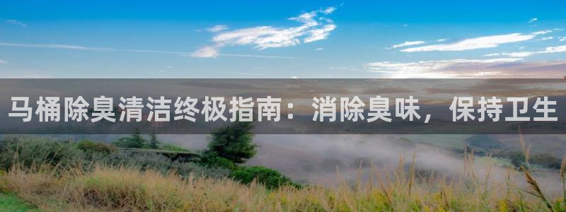 尊龙网站注册站注册：马桶除臭清洁终极指南：消除臭味，保持