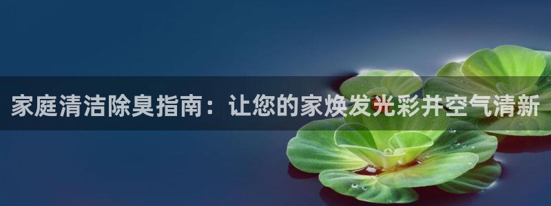 尊龙d88官网登录苹果版下载：家庭清洁除臭指南：让您的家