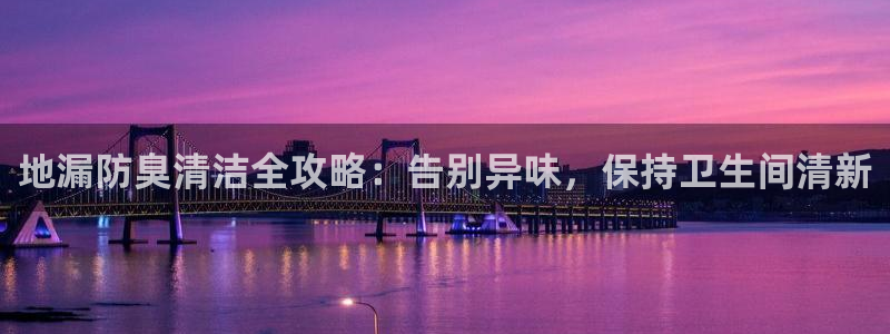 尊龙凯时白家乐：地漏防臭清洁全攻略：告别异味，保持卫生间