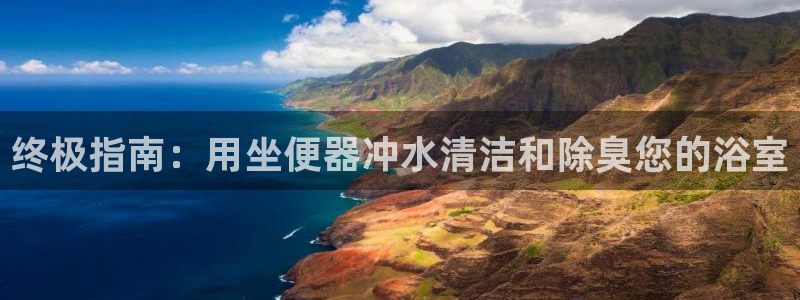 尊龙凯时官网版登录：终极指南：用坐便器冲水清洁和除臭您的
