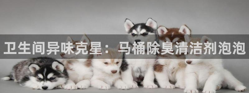 尊龙凯时ag旗舰厅：卫生间异味克星：马桶除臭清洁剂泡泡