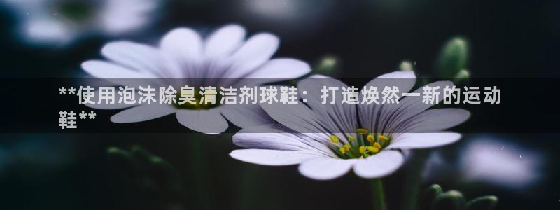 尊龙游戏官方网