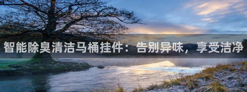 尊龙凯时是赌博嘛：智能除臭清洁马桶挂件：告别异味，享受洁