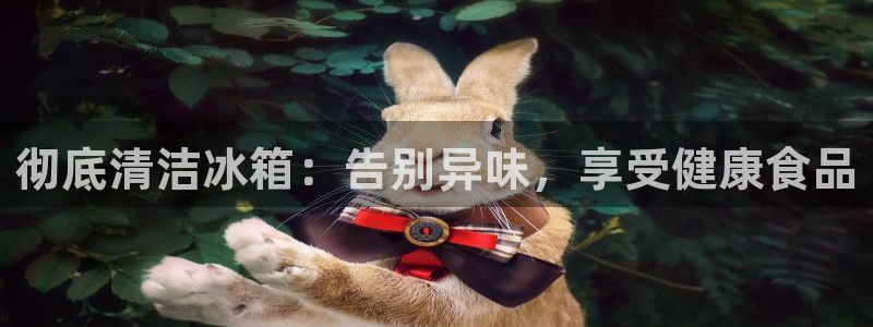 AG尊龙登陆网址：彻底清洁冰箱：告别异味，享受健康食品