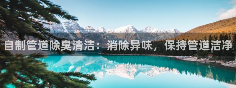尊龙凯时代理