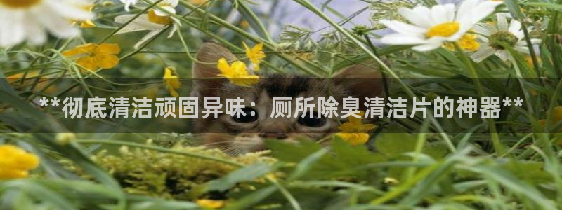 尊龙一人生就是博电子游戏
