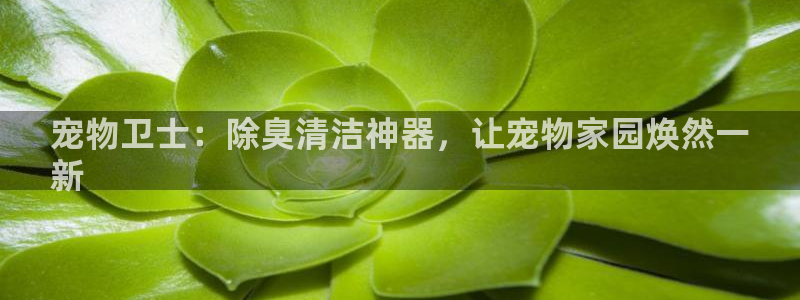 凯时国际app首页下载