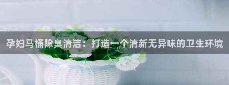 尊龙凯时官网登录入口：孕妇马桶除臭清洁：打造一个清新无异