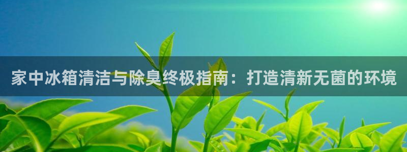 尊龙凯时注册：家中冰箱清洁与除臭终极指南：打造清新无菌的