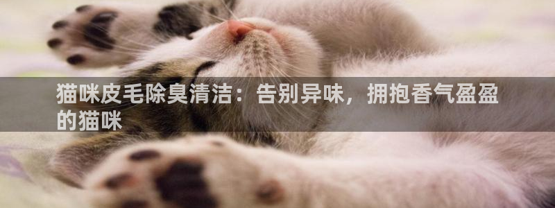 尊龙凯时登陆