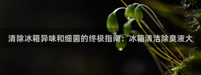 尊龙 中国