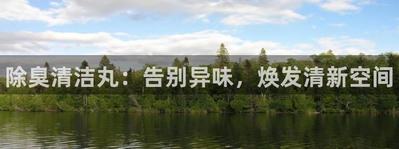 尊龙平台登录：除臭清洁丸：告别异味，焕发清新空间
