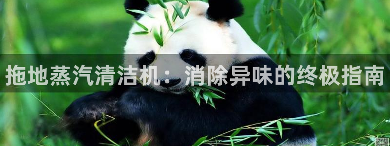 尊龙凯时人生就是博·(中国)官网最新