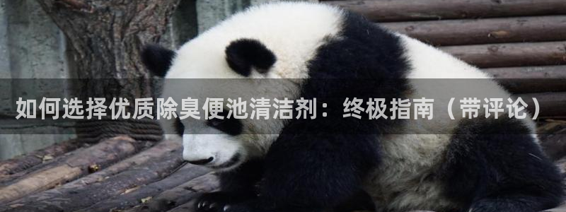 尊龙凯时人生就是博官网登录：如何选择优质除臭便池清洁剂：