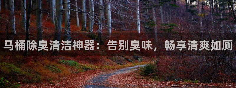 尊龙凯时怎么注册：马桶除臭清洁神器：告别臭味，畅享清爽如