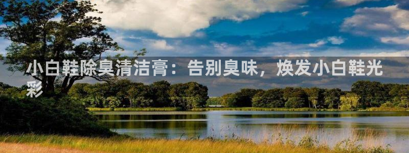 尊龙凯时老板