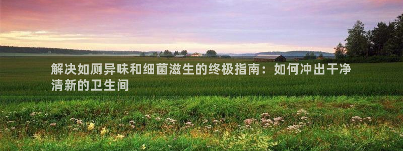 凯时登录：解决如厕异味和细菌滋生的终极指南：如何冲出干净