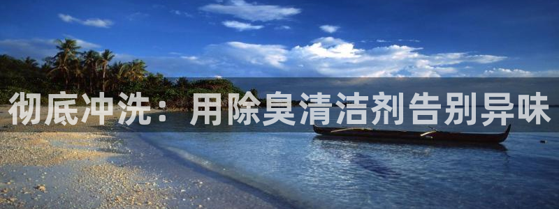 尊龙d88平台登录：彻底冲洗：用除臭清洁剂告别异味