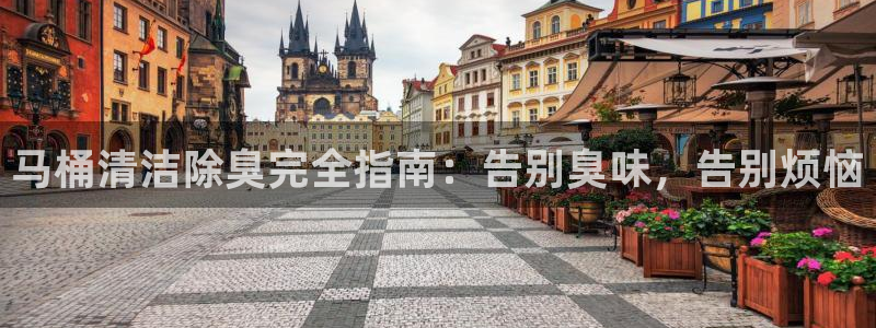 尊龙凯时百家乐手机下载：马桶清洁除臭完全指南：告别臭味，