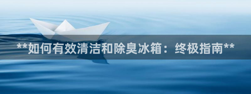 尊龙凯时d5138：**如何有效清洁和除臭冰箱：终极指南