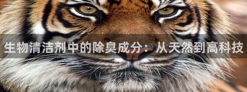 尊龙手机客户端下载