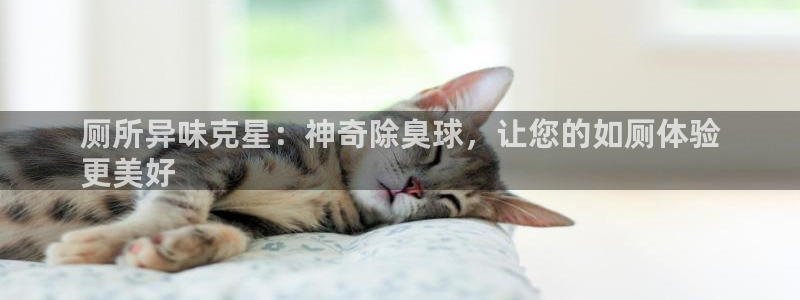 d88尊龙官方网