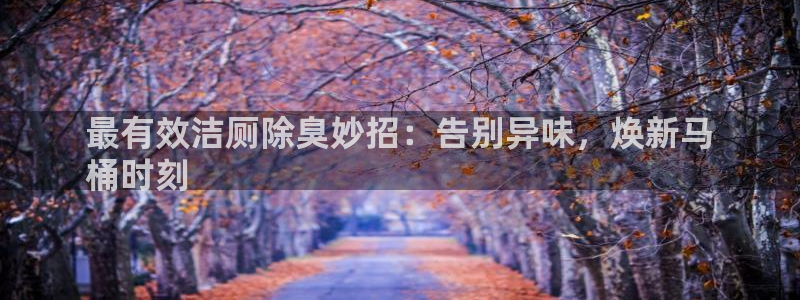 尊龙人生就是博官网登录手机：最有效洁厕除臭妙招：告别异味