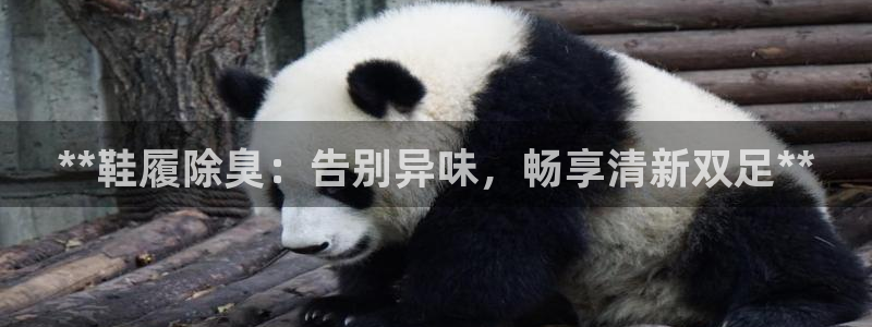尊龙凯时手机版·(中国)官方网站