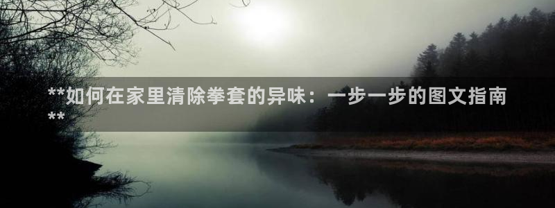 尊龙一生也走不出自己的童年：**如何在家里清除拳套的异味