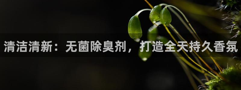 尊龙凯时和九游会哪个平台好一点
