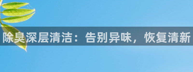 尊龙凯时是大平台吗：除臭深层清洁：告别异味，恢复清新