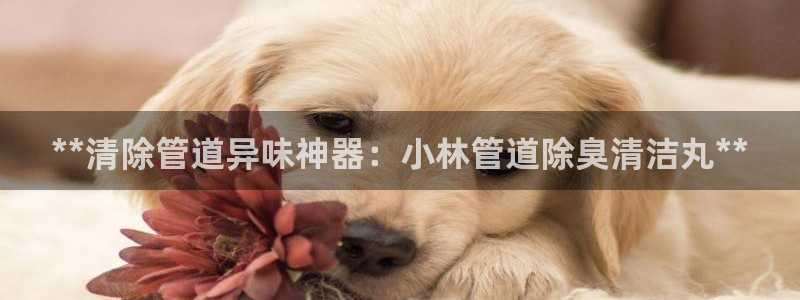 尊龙ag旗舰：**清除管道异味神器：小林管道除臭清洁丸*