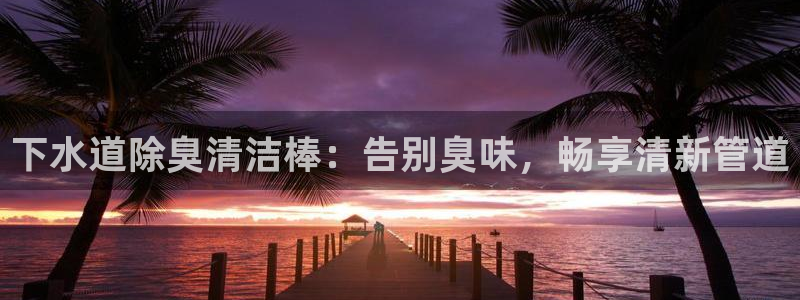 最新凯时官网网址：下水道除臭清洁棒：告别臭味，畅享清新管
