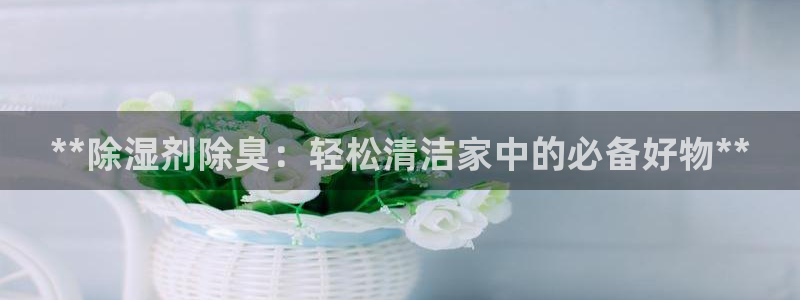 尊龙人生就是博官方官网：**除湿剂除臭：轻松清洁家中的必