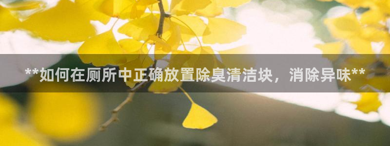 尊龙凯时输了100万：**如何在厕所中正确放置除臭清洁块