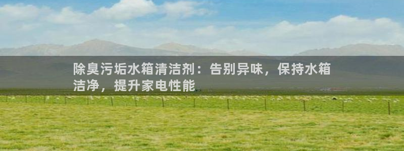 凯时平台登录：除臭污垢水箱清洁剂：告别异味，保持水箱
洁