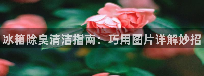尊龙人生就是博D88